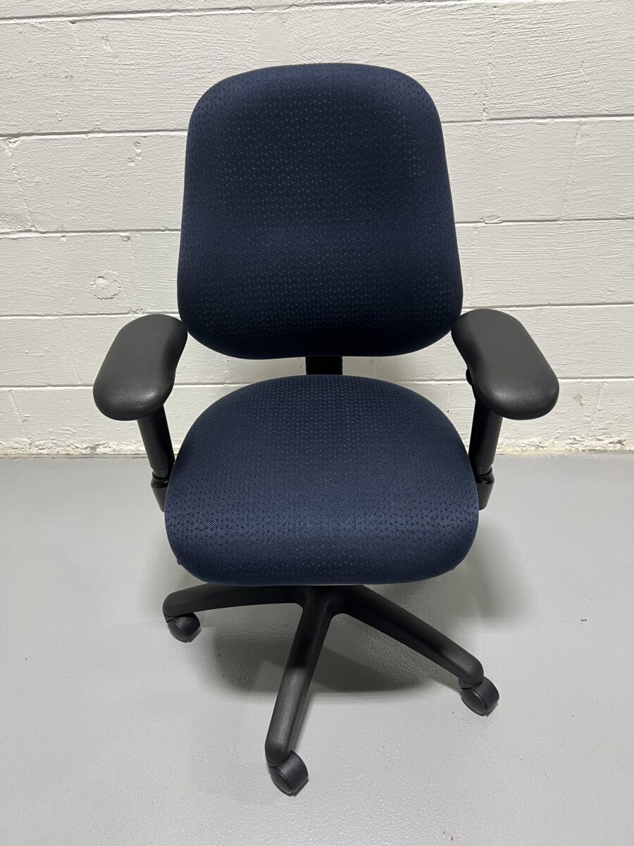 ErgoGenesis BodyBilt Big & Tall Executive Task Chair - Used