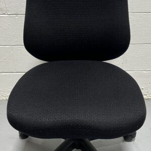 BodyBilt Ergonomic Armless Task Chair (Big & Tall Support) - Used