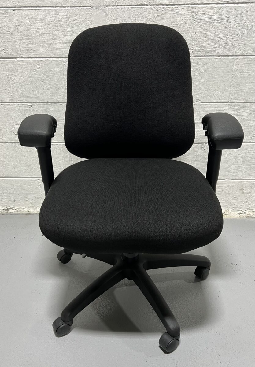 ErgoGenesis BodyBilt Big & Tall Executive Chair - Used