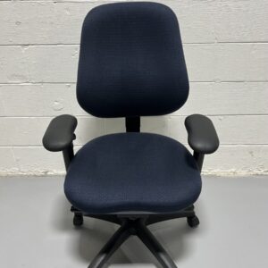 ErgoGenesis BodyBilt Big & Tall Ergonomic Office Chair - Used