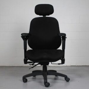 ErgoGenesis BodyBilt Vio Ergonomic Task Chair with Headrest - Used